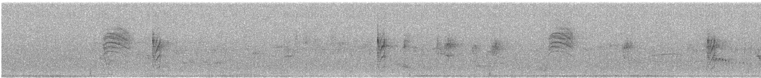 Gray-and-white Tyrannulet - ML644954826