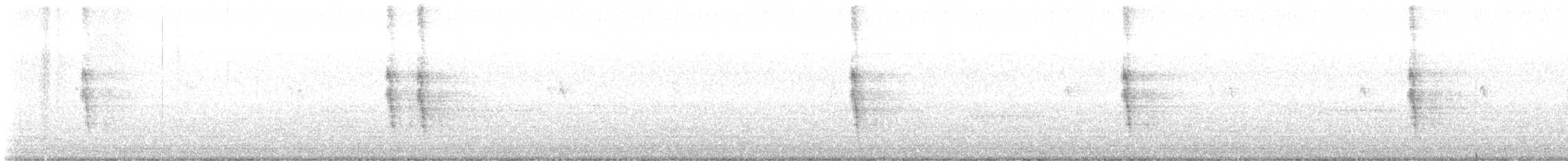 Northern Mockingbird - ML644955009