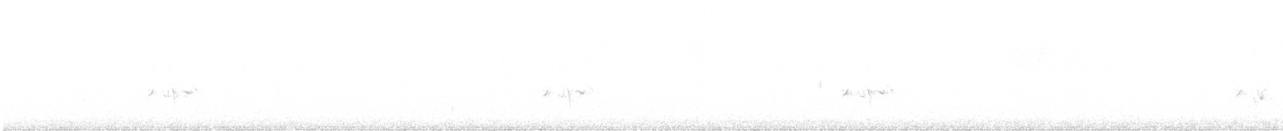 Pinu-gailupa - ML644955039