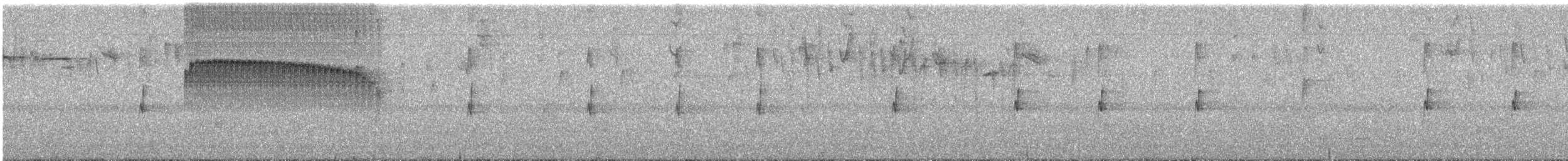 Spotted Barbtail - ML644955392