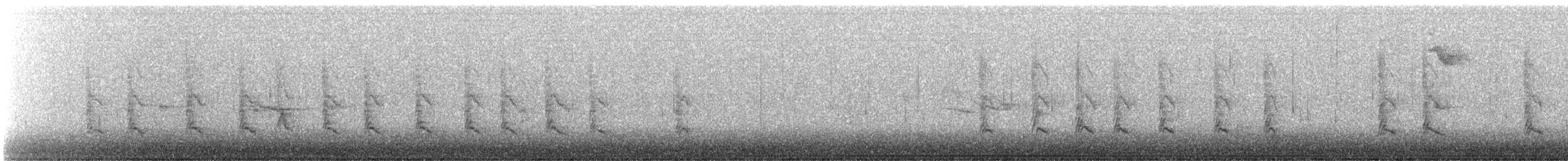 Erregetxo mottogorria - ML644955433