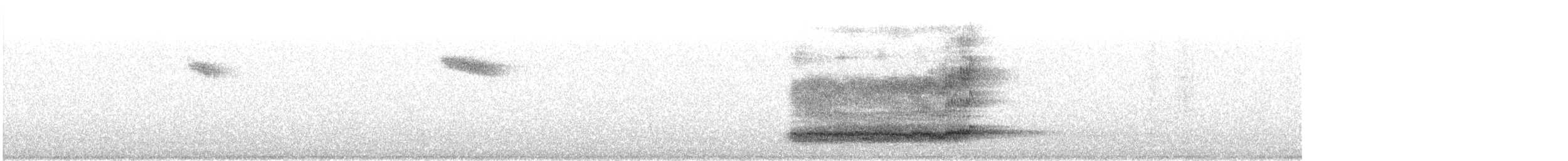 Western Barn Owl - ML644955539