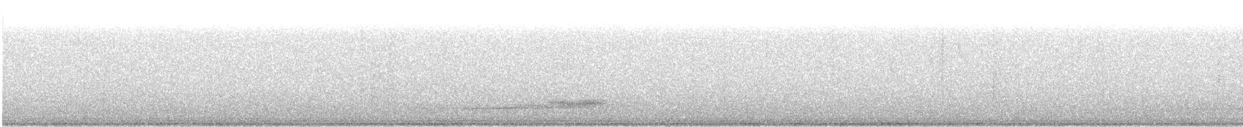 Western Barn Owl - ML644955541