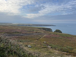 South Stack RSPB Reserve, Anglesey, Wales, United Kingdom - eBird Hotspot