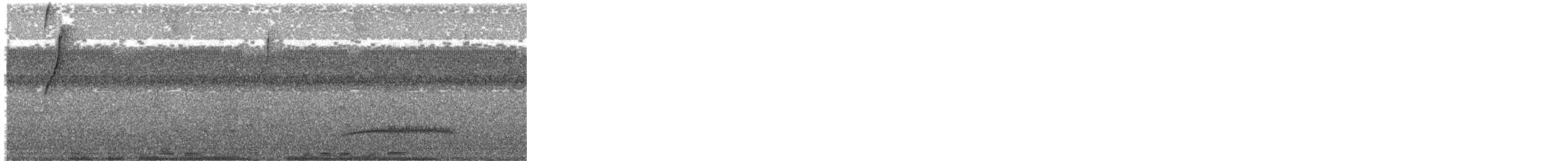 Yellow-bellied Elaenia - ML644956125