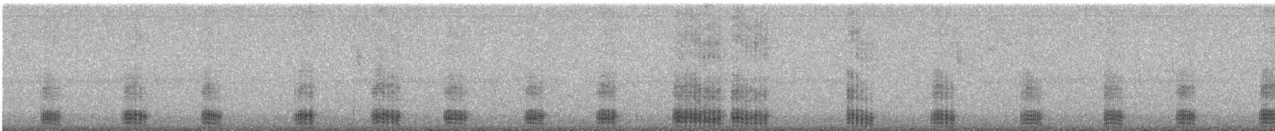 Blue-banded Toucanet - ML644956200