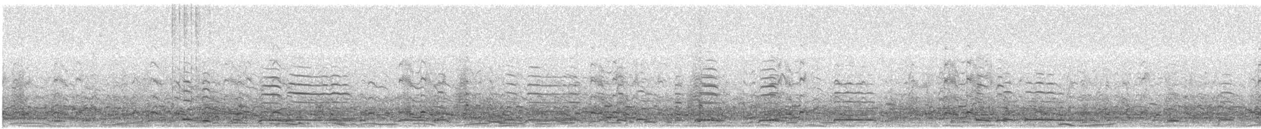 Белолобый гусь - ML644956373