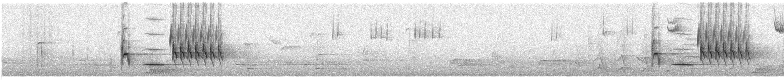 Красноглазый тохи - ML644957145