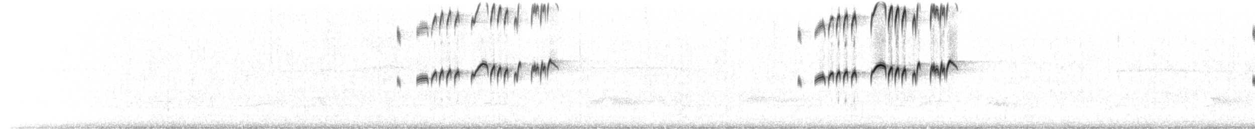 Королевский тиранн - ML644957651