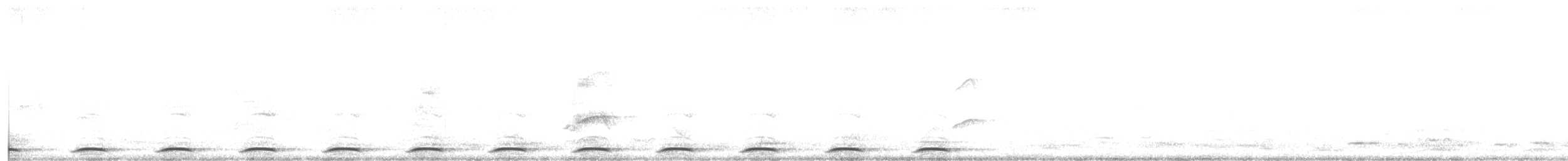 Wongataube - ML644957981