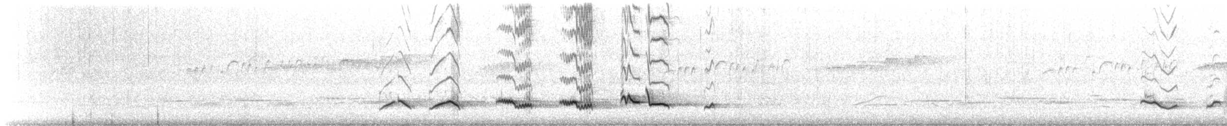Pale-breasted Thrush - ML644958436