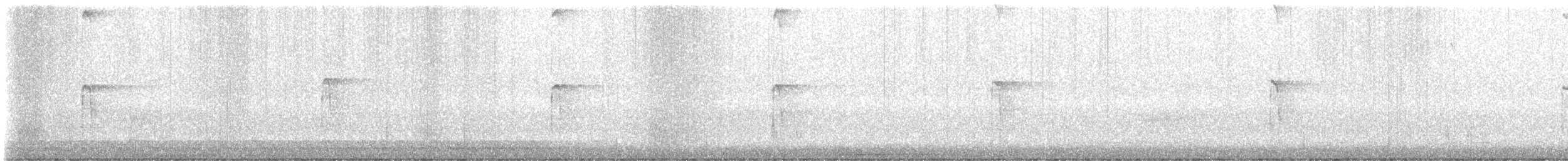 strakapoud americký - ML644958772