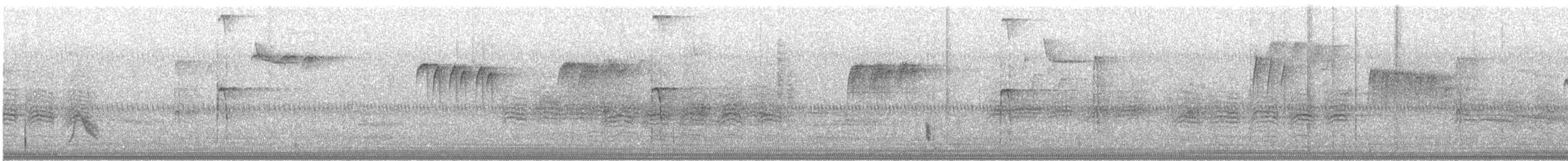 Gray-cheeked Thrush - ML644959383