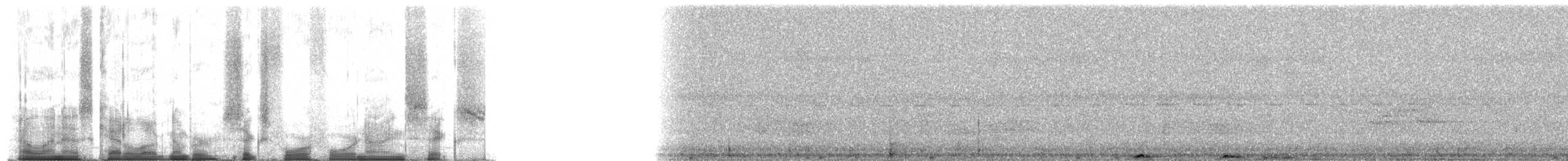 白喉林鴿 - ML64496
