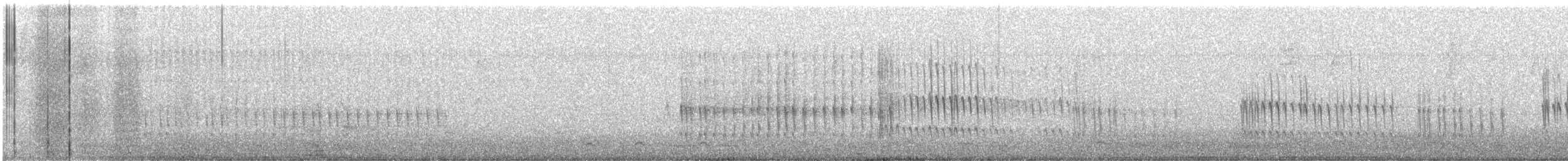 Belted Kingfisher - ML644961153