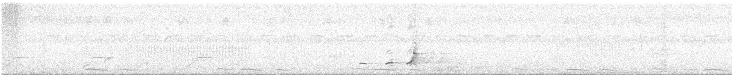 Spot-bellied Bobwhite - ML644961556