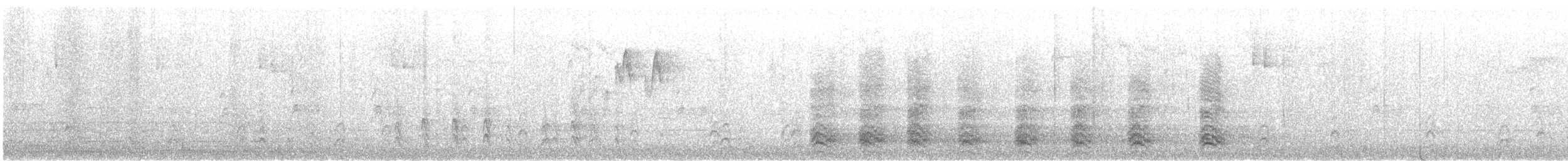 American Robin - ML644961584