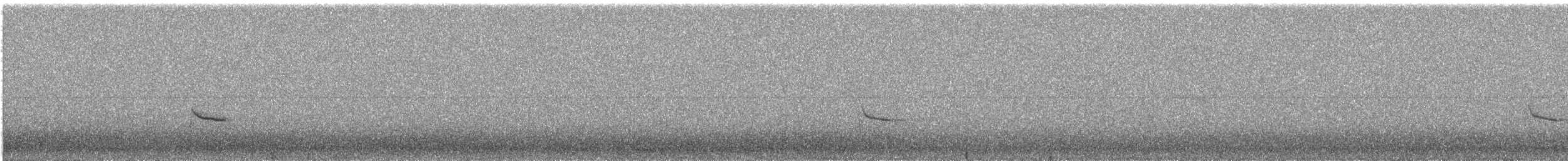 Hermit Thrush - ML644961641