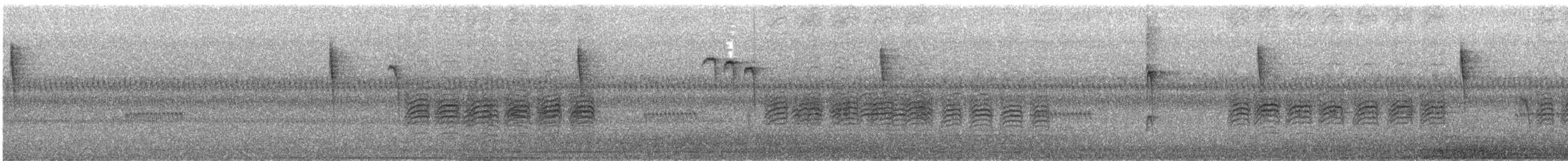 Blackpoll Warbler - ML644961810