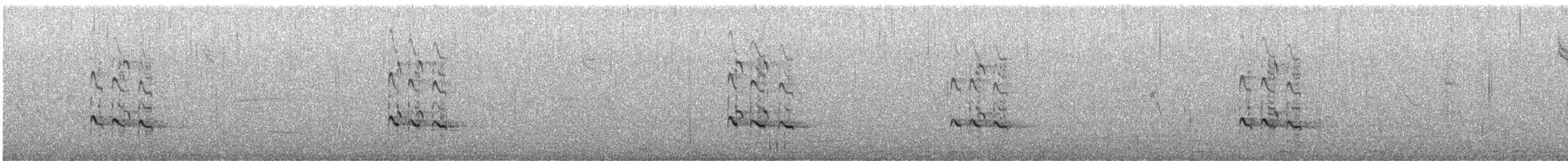 Пёстрый улит - ML644962934