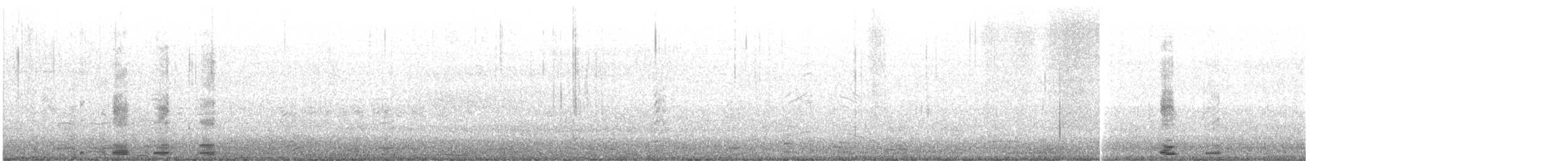 Cigno selvatico - ML644963849