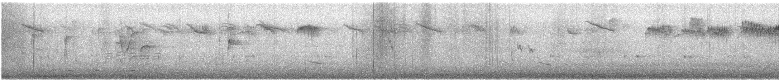 Ampelis Americano - ML644963997