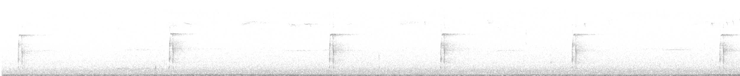 Pico Velloso - ML644964057