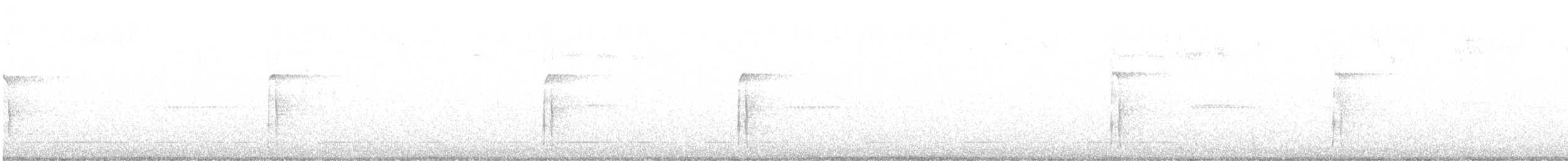 Pico Velloso - ML644964058