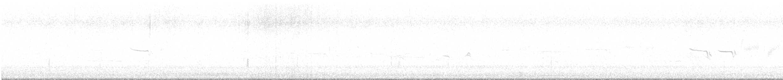 Chingolo Coroniblanco - ML644964246