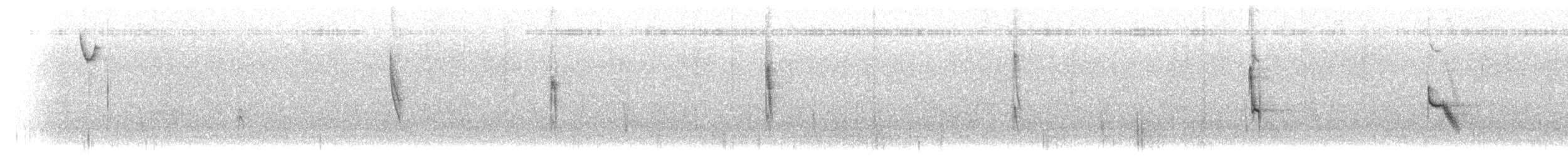 Chingolo Zorruno (grupo unalaschcensis) - ML644964269