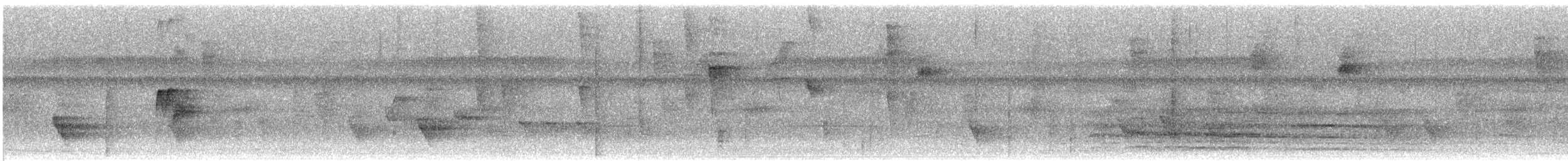 Chara Pechinegra - ML644964303