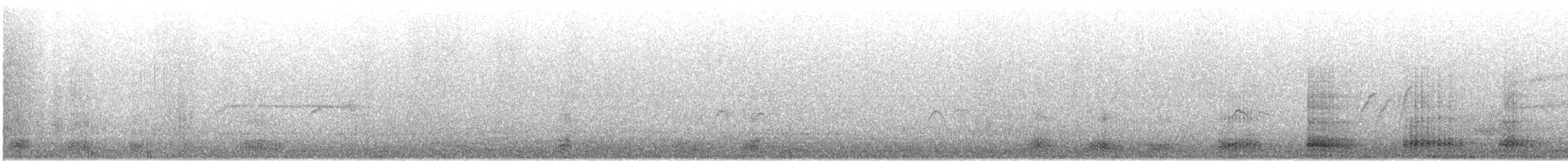 Cuervo Picudo - ML644964345