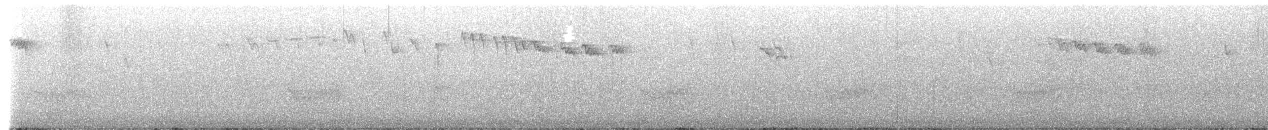 Reyezuelo Sátrapa - ML644964561