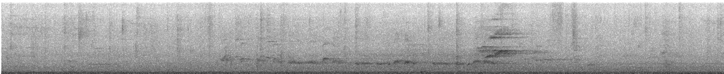 Lori Arcoiris - ML644964663