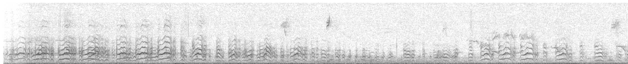 Gaviota de Cortés - ML644964665