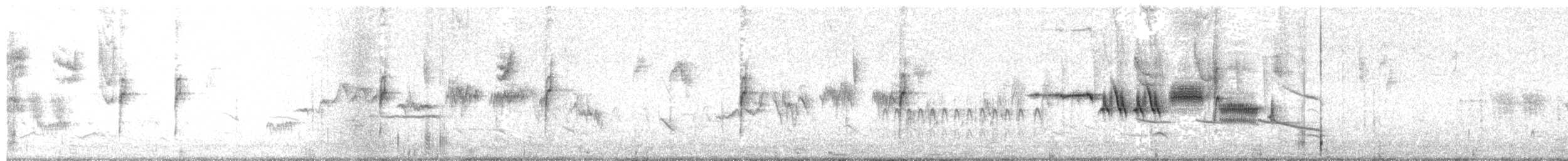 Chingolo Coroniblanco - ML644964818