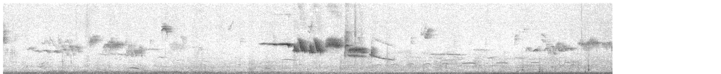 Chingolo Coroniblanco - ML644964819