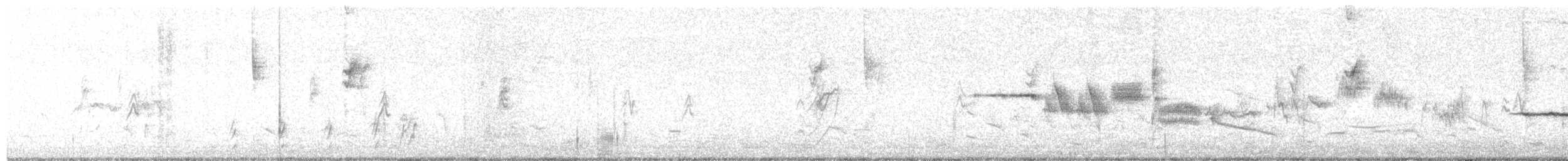 Chingolo Coroniblanco - ML644964820