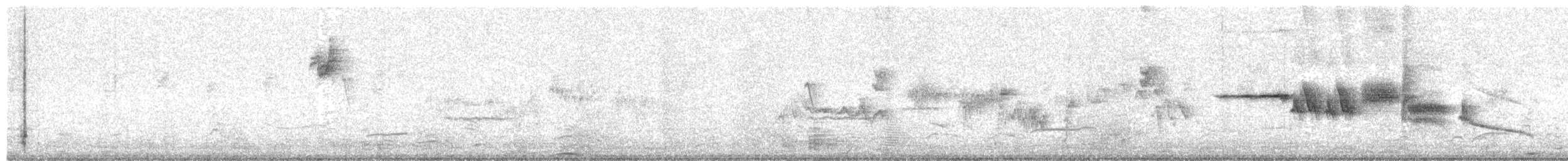 Chingolo Coroniblanco - ML644964821