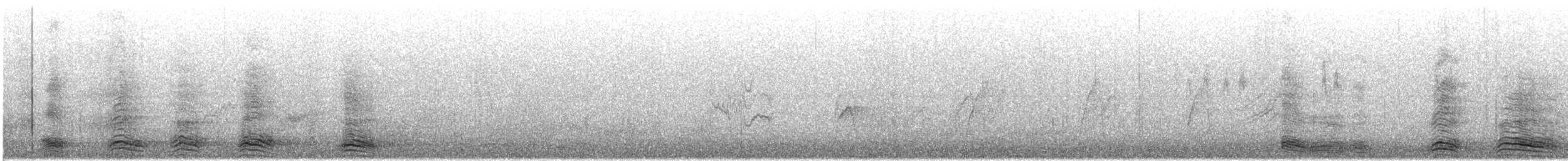 Cuervo Picudo - ML644964845