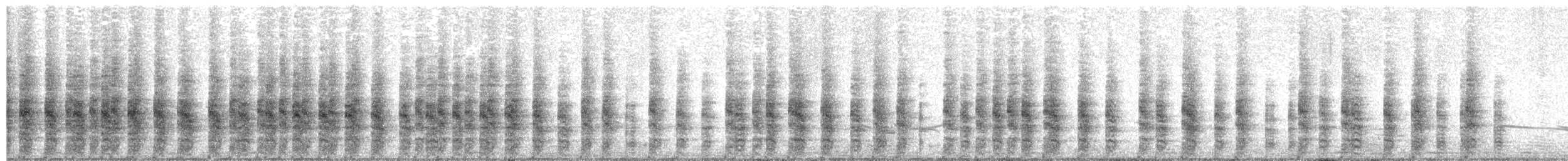 Rascón de Ridgway (yumanensis) - ML644964911