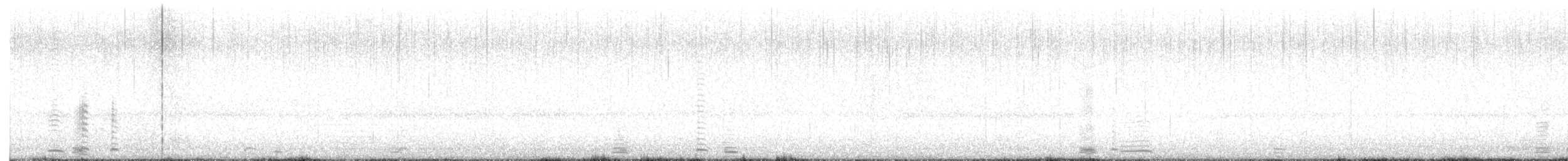 Cisne Trompetero - ML644965090