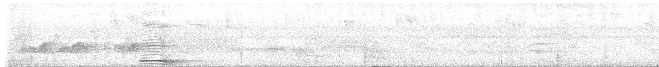 Collared Forest-Falcon - ML644967293