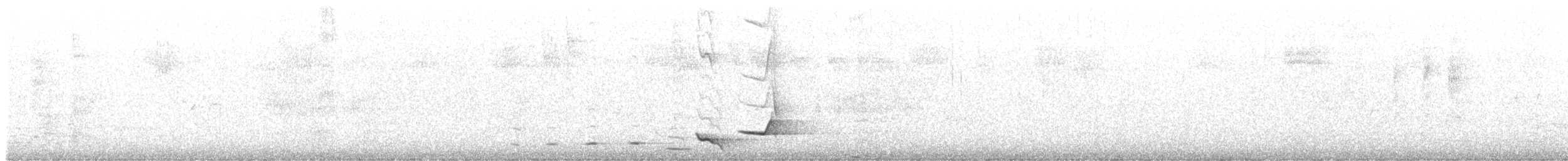 hvittøyleplystrer - ML644968644