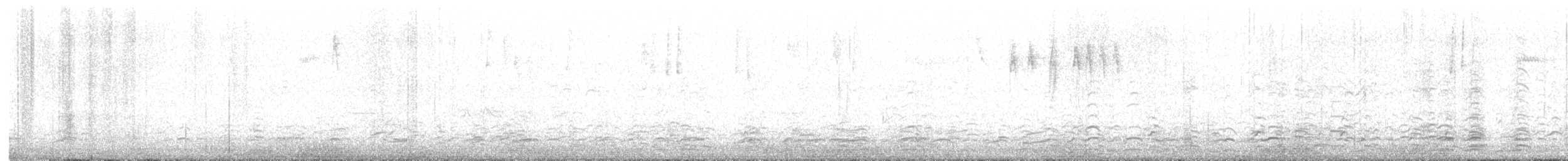 polargås - ML644968665