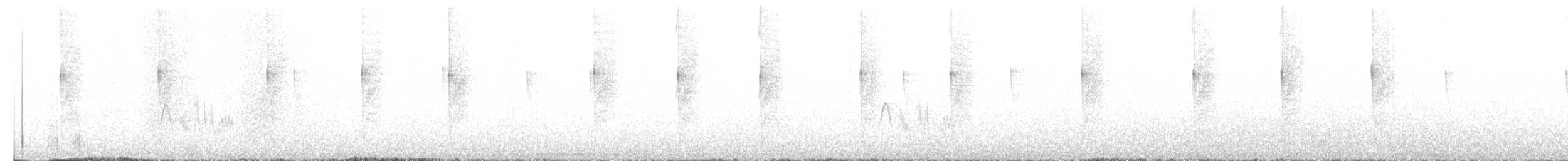 hvitbrystkolibri - ML644968947