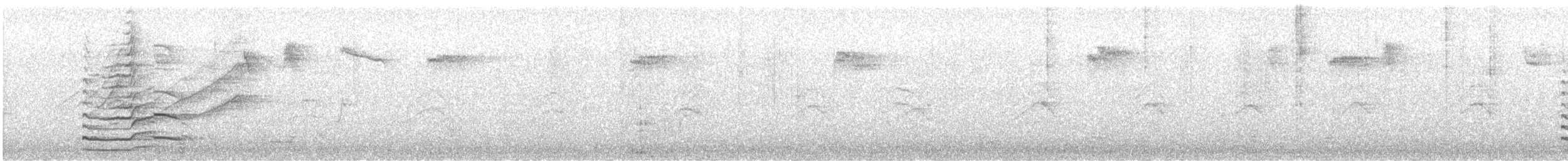 Wood Duck - ML644972007