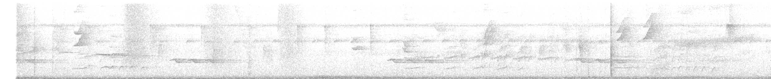 Black-striped Woodcreeper - ML644972288