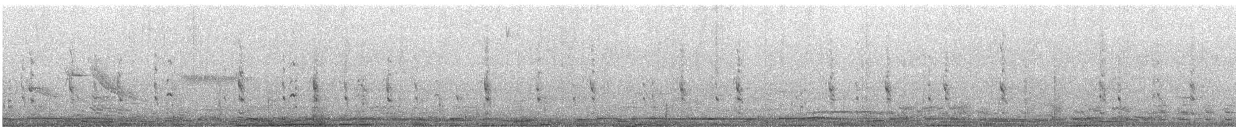 Belatz handia - ML644972505