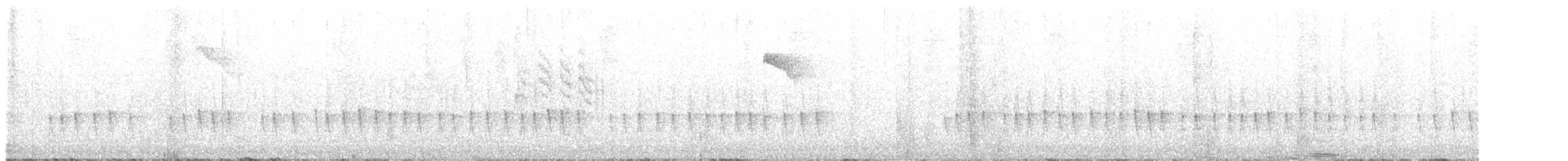 Violet-capped Hummingbird - ML644972809